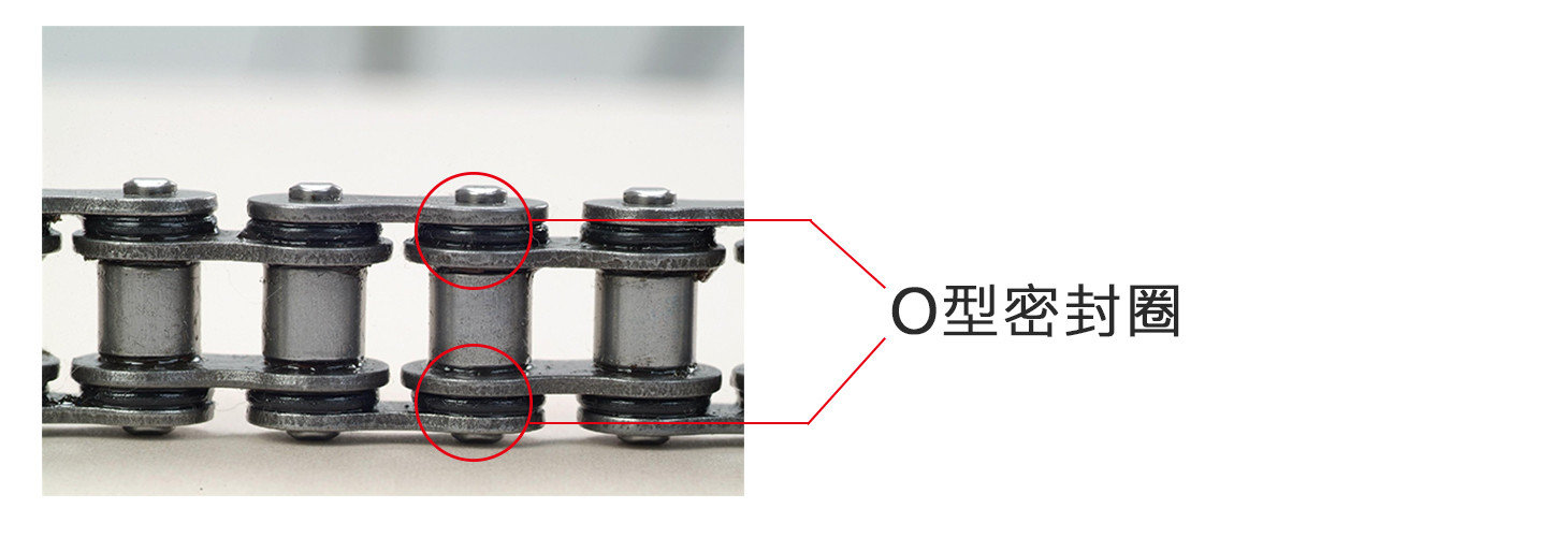 O型密封圈 O型密封圈