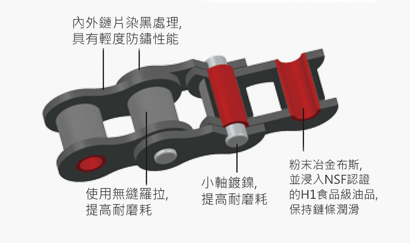 NSL鏈條構造圖 NSL鏈條構造圖
